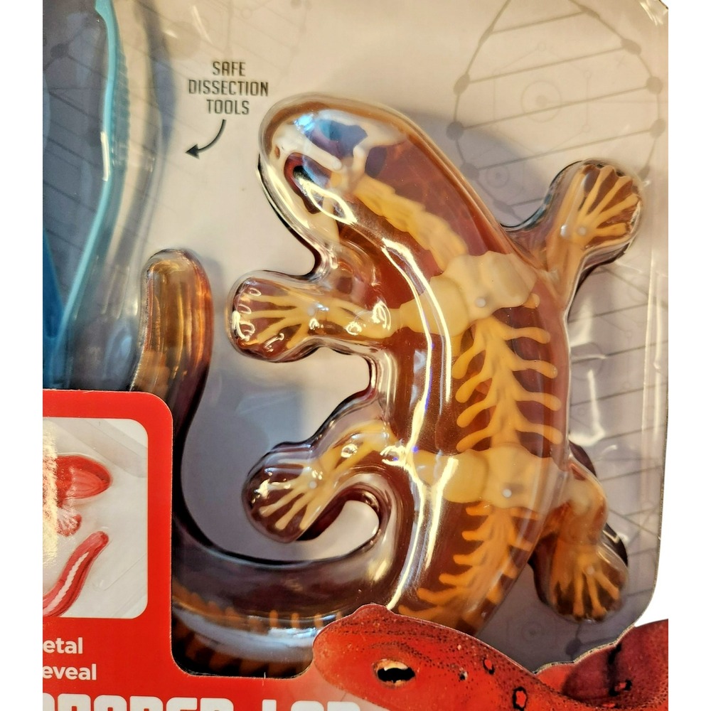 Dissect It Synthetic Dissection Kit - Salamander Lab‎ - Picture 2 of 4
